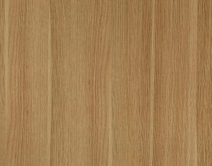 ModernWood Texture