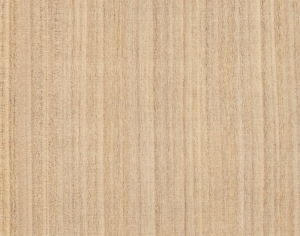 ModernWood Texture