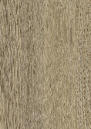 ModernWood Texture