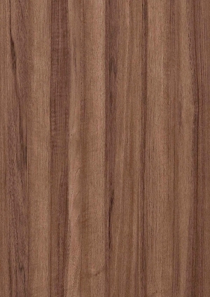 ModernWood Texture