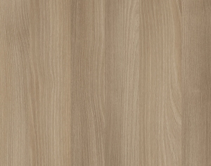 ModernWood Texture