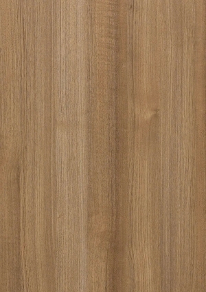 ModernWood Texture