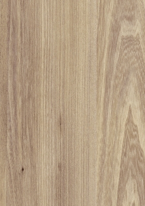 ModernWood Texture