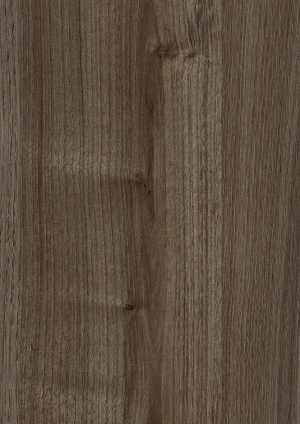 ModernWood Texture