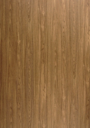 ModernWood Texture