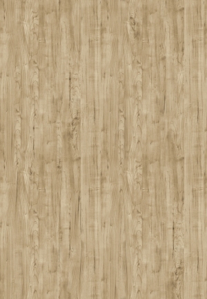 ModernWood Texture