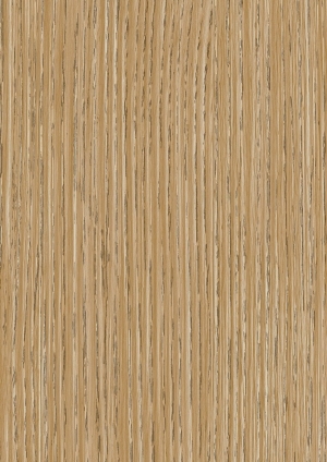 ModernWood Texture