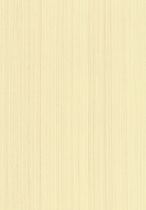 ModernWood Texture