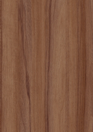 ModernWood Texture