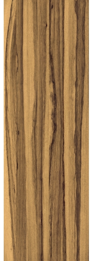 ModernWood Texture