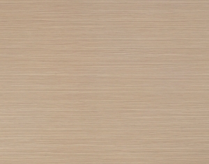 ModernWood Texture