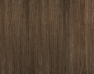 ModernWood Texture