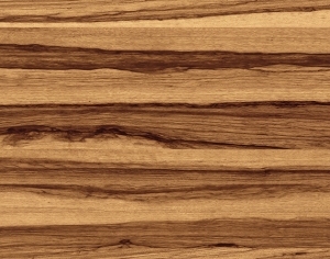 ModernWood Texture