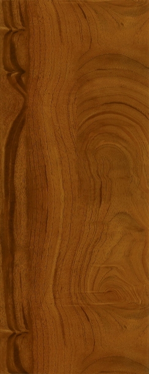 ModernWood Texture