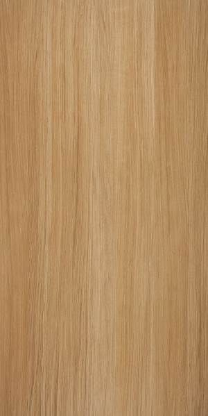 ModernWood Texture