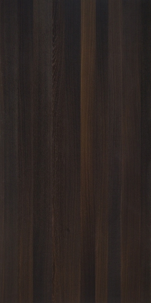 ModernWood Texture