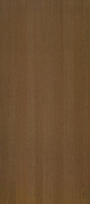 ModernWood Texture