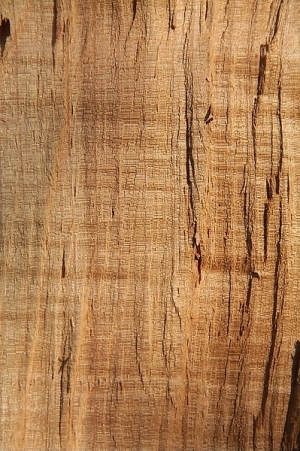 ModernWood Texture