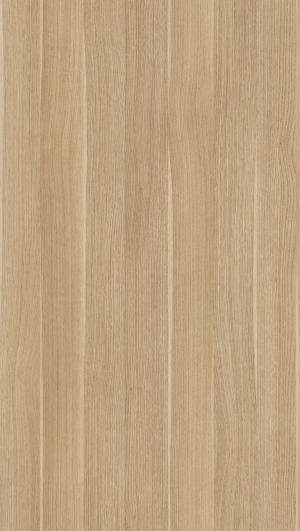 ModernWood Texture