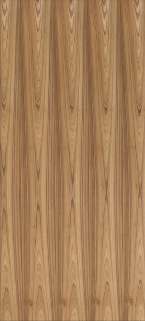 ModernWood Texture