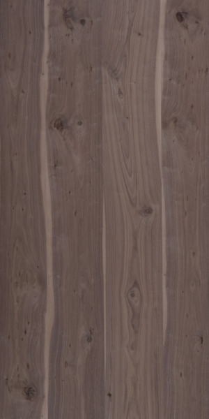 ModernWood Texture