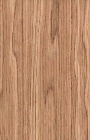 ModernWood Texture