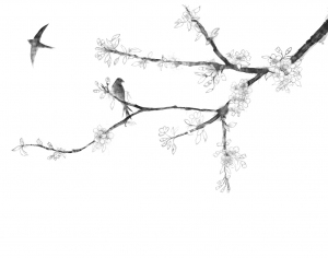 新中式花鸟壁纸-ID:5229628