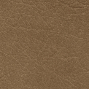 ModernRough Grain Leather