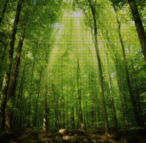 风景装饰画-ID:659178022