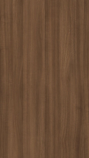 ModernWood Texture