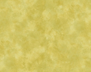 欧式壁纸-ID:896948104