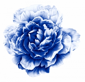 古代青花瓷图案花纹中国风图案-ID:848788989