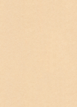 再生纸纹理素材壁纸-ID:863176115