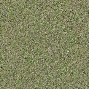 ModernGrass