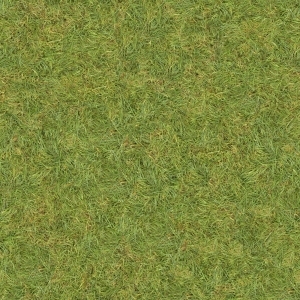 ModernGrass