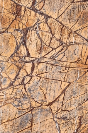 ModernMarble Tiles