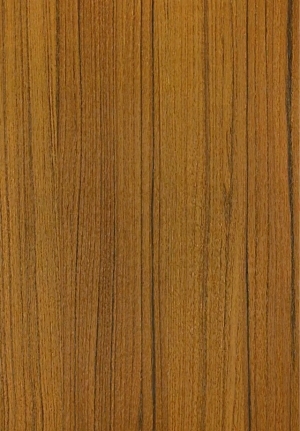 ModernWood Texture