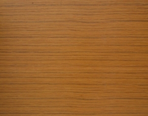 ModernWood Texture