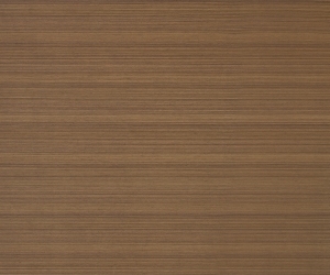 ModernWood Texture