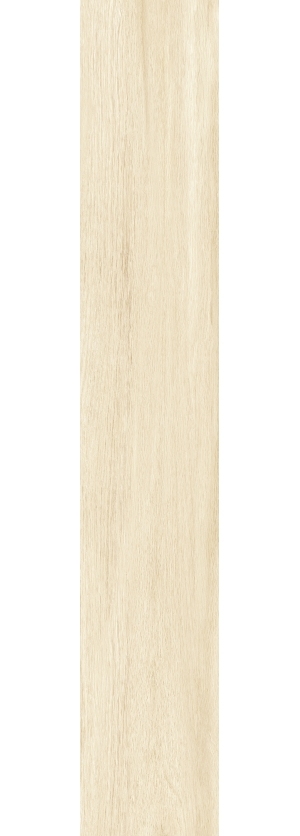 ModernWood Texture