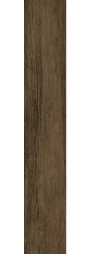 ModernWood Texture