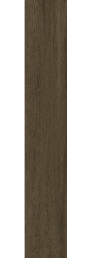 ModernWood Texture