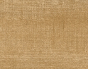 ModernWood Texture