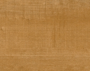 ModernWood Texture