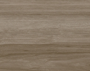 ModernWood Texture