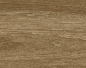 ModernWood Texture