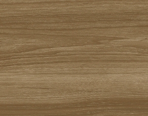 ModernWood Texture