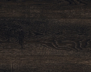 ModernWood Texture