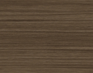 ModernWood Texture