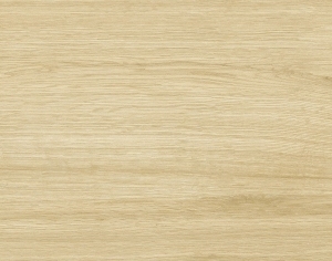 ModernWood Texture